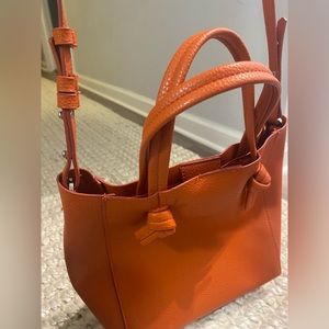 Mango Purse